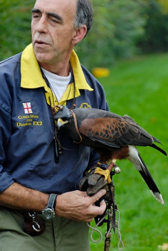 A man holds a hooded bird of prey on a protective glove.