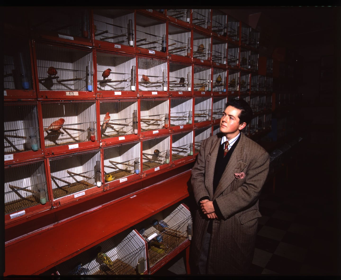 A man in a jacket stands beside stacked red cages containing small birds.